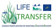 Life Transfer