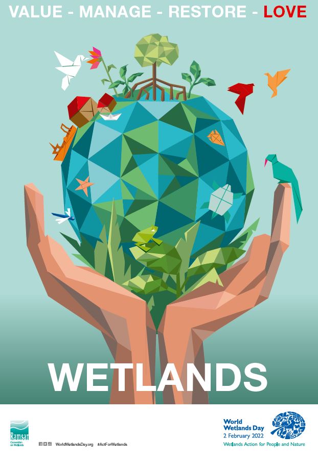 International webinar for World Wetlands Day